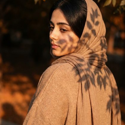 سایه برگ در غروب